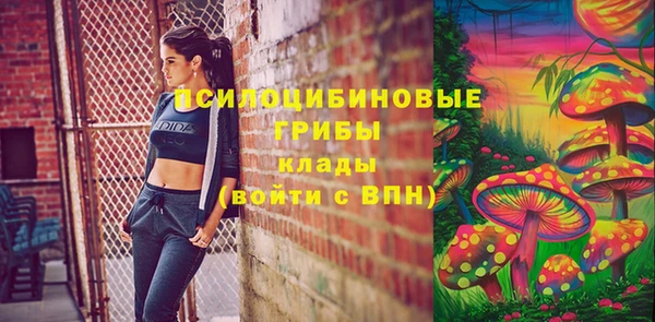 ПСИЛОЦИБИНОВЫЕ ГРИБЫ Балахна