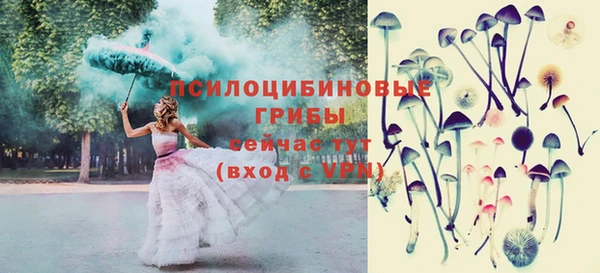 ПСИЛОЦИБИНОВЫЕ ГРИБЫ Балахна