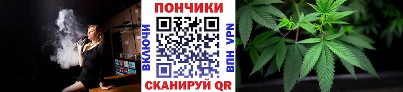 закладки Корсаков МАРИХУАНА сатива